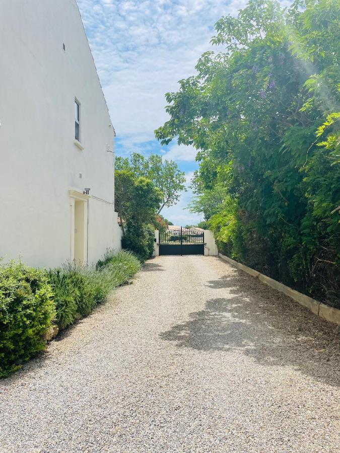 Les Ecuries - 3 Bedroom Gite With Plunge Pool Near Narbonne & The Canal Du Midi Saint-Nazaire-d'Aude Extérieur photo